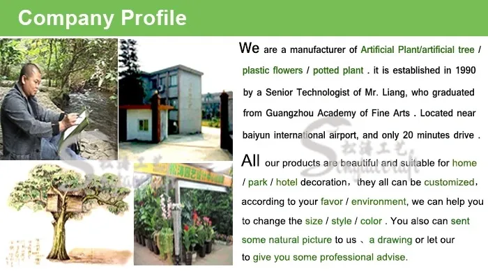 Wholesale Factory Real Touch Indoor Decorative Green Bonsai Artificial Snake Plant