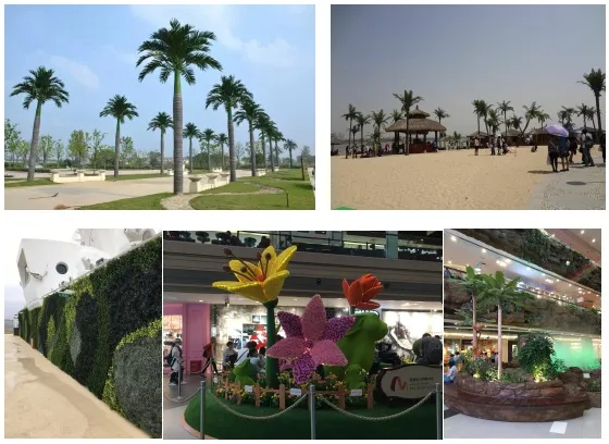 Wholesale Factory Real Touch Indoor Decorative Green Bonsai Artificial Snake Plant