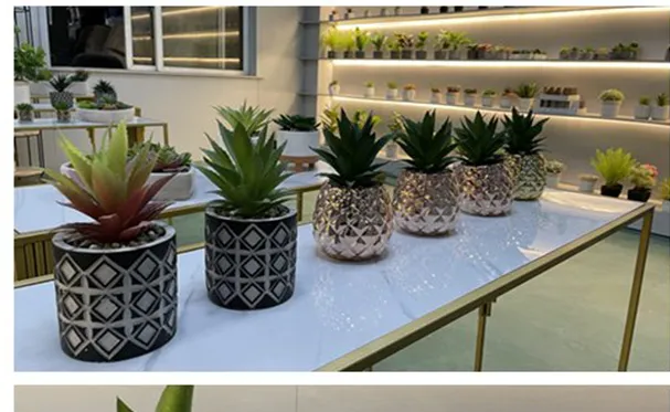 Wholesale High Quality PE Meaty Plants with White Appearance of The Flower Pots, Used for Interior Decoration