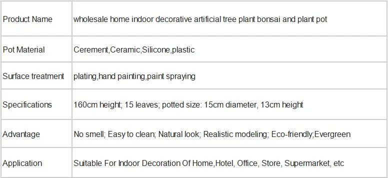 Wholesale High Quality PE Meaty Plants with White Appearance of The Flower Pots, Used for Interior Decoration