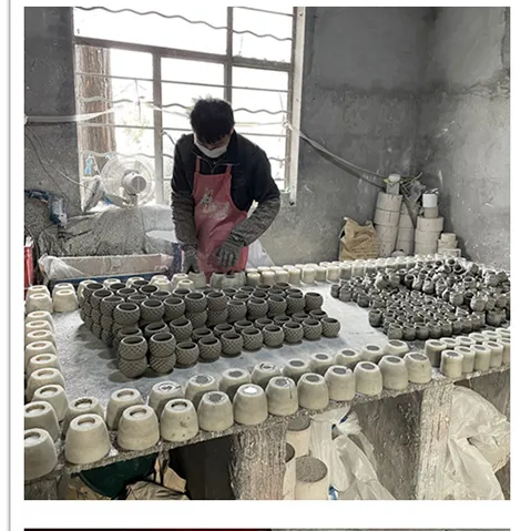 Wholesale High Quality PE Meaty Plants with White Appearance of The Flower Pots, Used for Interior Decoration