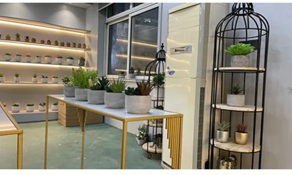 Wholesale High Quality PE Meaty Plants with White Appearance of The Flower Pots, Used for Interior Decoration