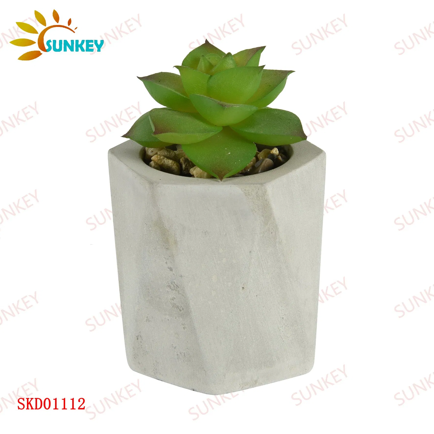 Wholesale High Quality PE Meaty Plants with White Appearance of The Flower Pots, Used for Interior Decoration