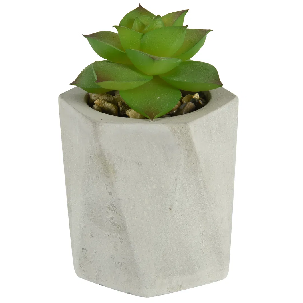 Wholesale High Quality PE Meaty Plants with White Appearance of The Flower Pots, Used for Interior Decoration