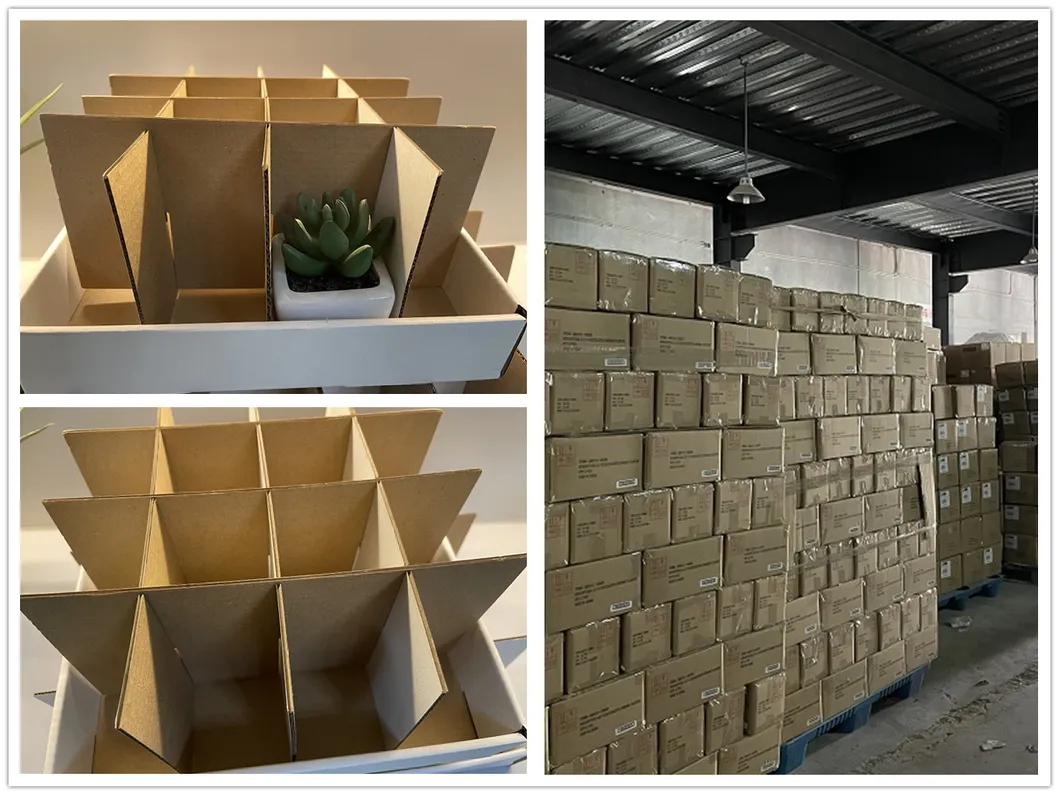 Wholesale High Quality PE Meaty Plants with White Appearance of The Flower Pots, Used for Interior Decoration