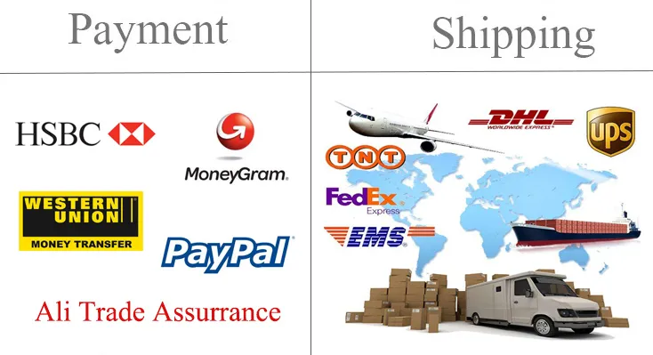 Wholesales Cheap Shell Starfish Custom Pins Cartoon Metal Print Lapel Pin