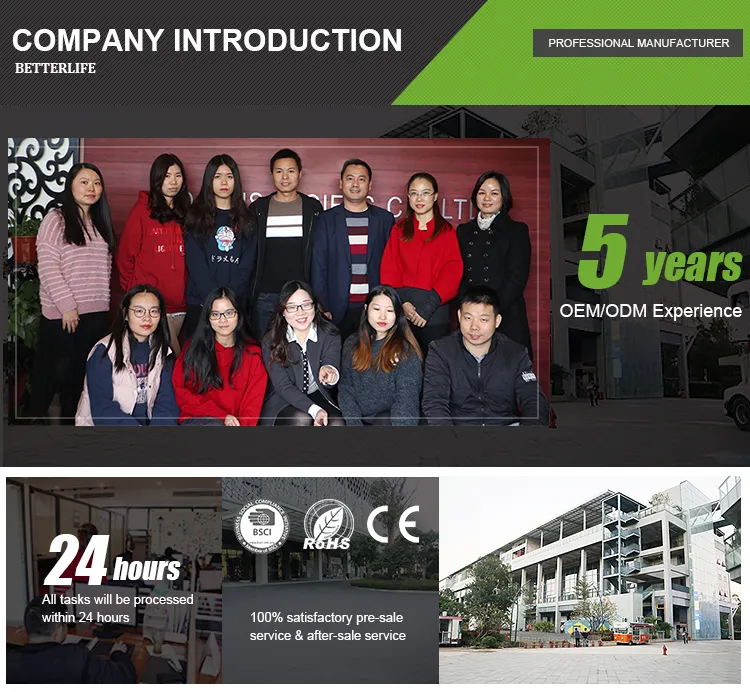 Window Advertising Wholesale Garden Stand Car Wall Custom Bandana Printing Flag with 2 Brass Flag Pole