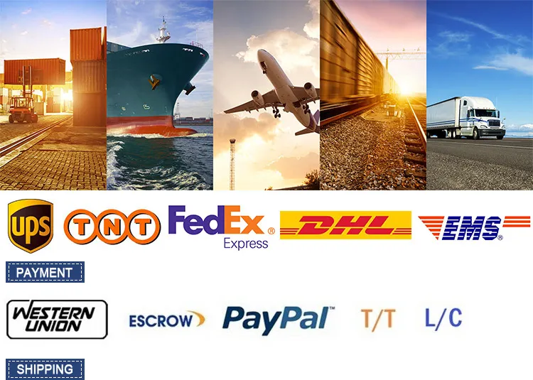 Xh1001 Artificial Sunflower for Shop Decoration